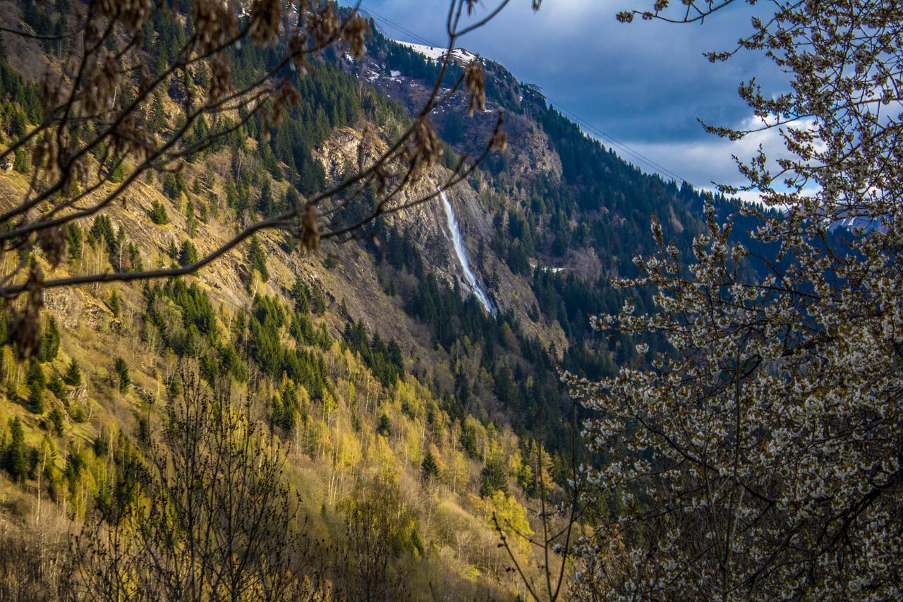 Chalet Rostaing Vaujany Dış mekan fotoğraf